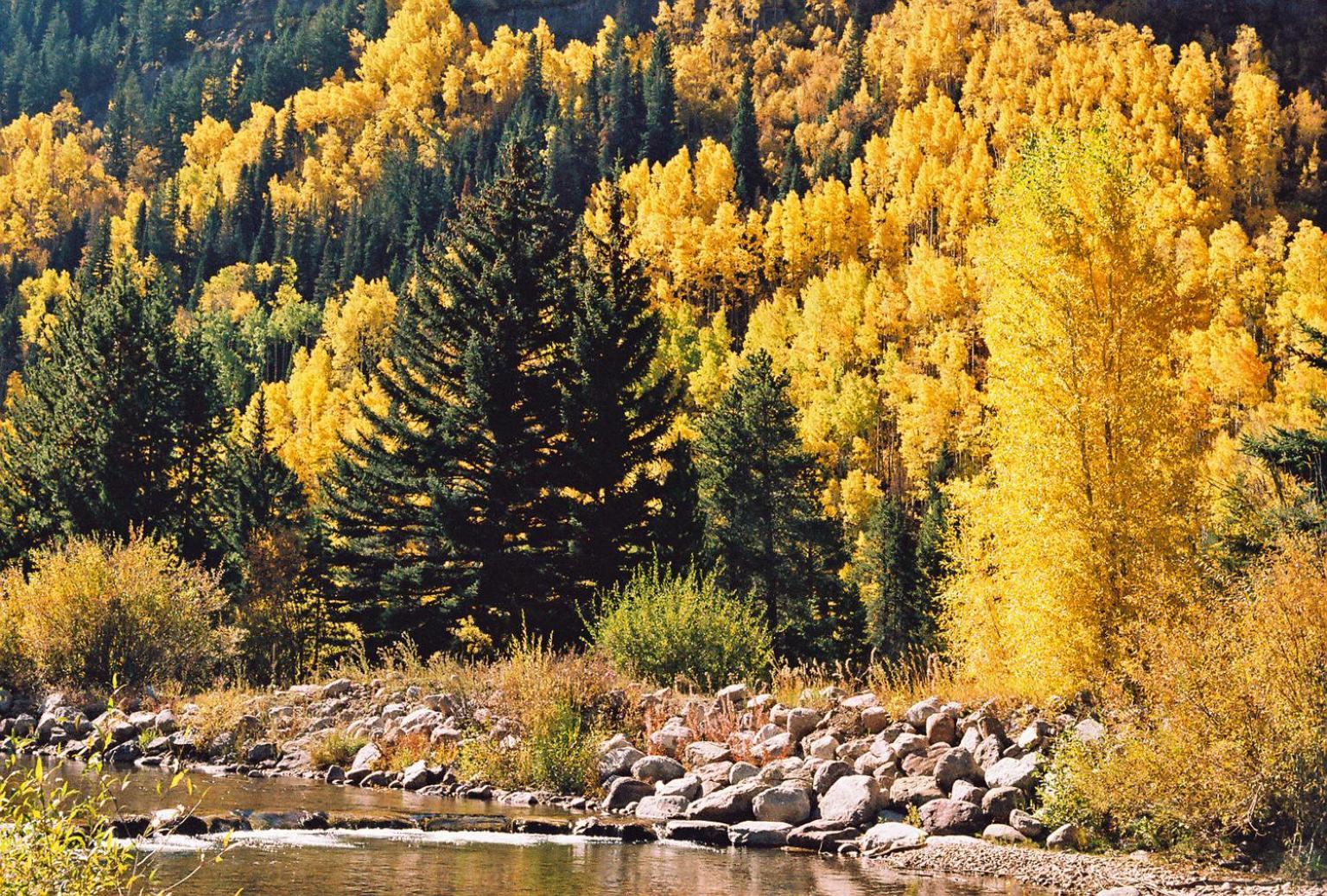 Vail Racquet Club Mountain Resort Экстерьер фото